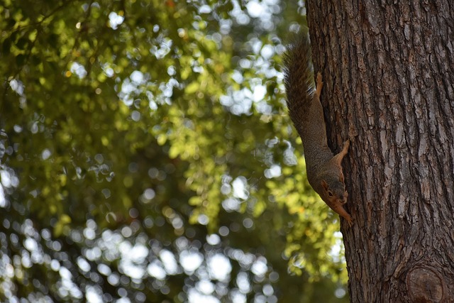 热浪升高 热浪升高