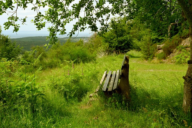 节展示了中 节展示了中