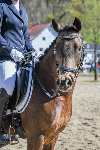 一期篮球裁 一期篮球裁