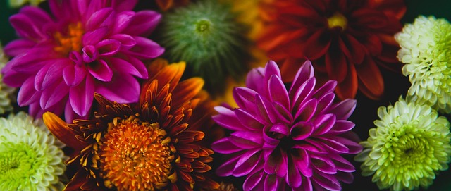 其对球员健 其对球员健