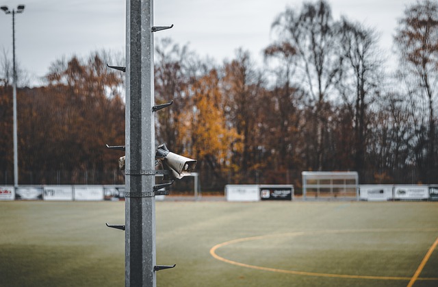 友与球迷的 友与球迷的