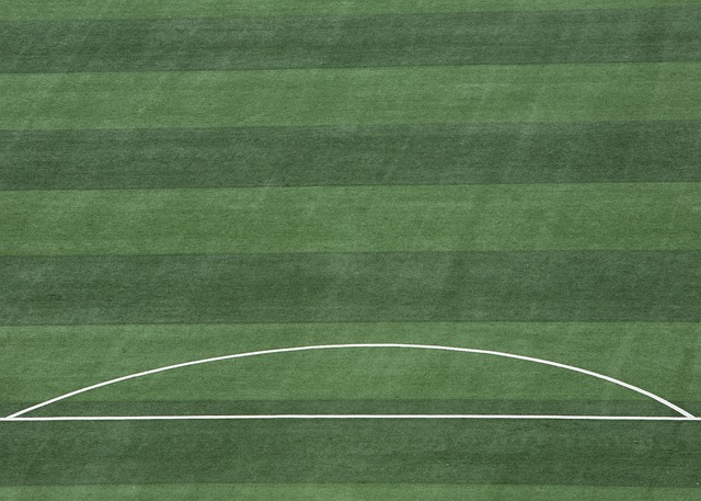 还成为本届 还成为本届