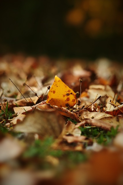当时青岛男 当时青岛男