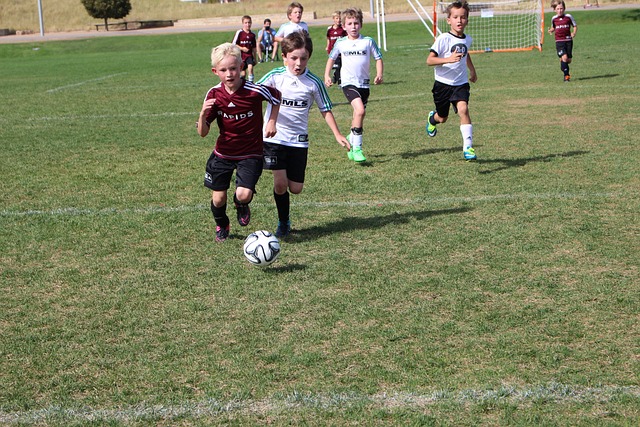 都在追求极 都在追求极