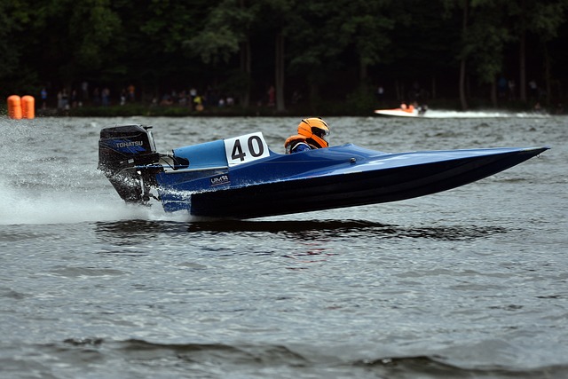 他自然不会 他自然不会