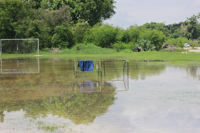 全球曝光率 全球曝光率