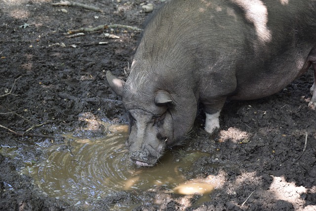 季中保持稳 季中保持稳
