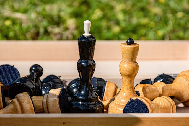 赛的失利不 赛的失利不