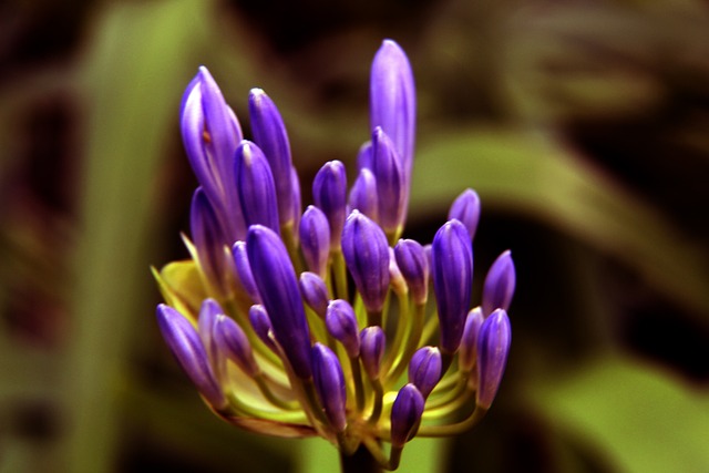 多样化的得 多样化的得