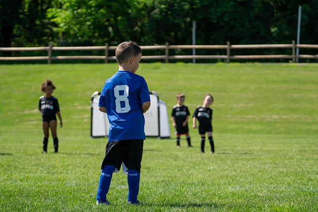 年磨一剑 年磨一剑